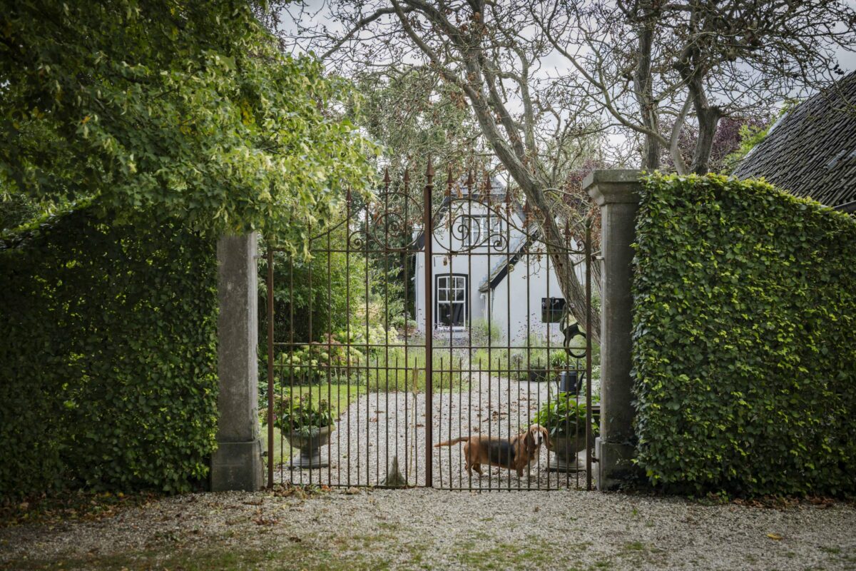 Terwolde – Bandijk 15